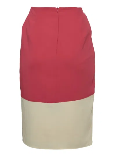 Pre-owned Elisabetta Franchi  Contrast-panel Pencil Skirt