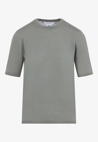 Max Mara Gerico Short-sleeved Knit T-shirt In Gray