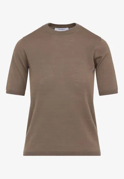 Max Mara Short-sleeve Virgin Wool Sweater With Classic Round Neckline In Brown