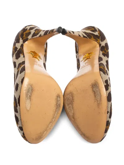 Pre-owned Charlotte Olympia  120mm Leopard-print Platform Pumps