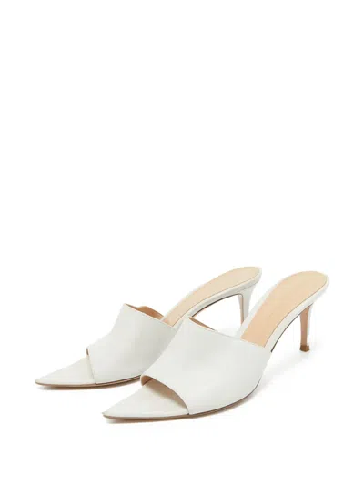 Pre-owned Gianvito Rossi  115mm Alise Pointed-toe Mules