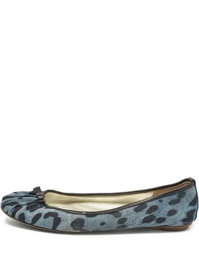 Pre-owned Dolce & Gabbana Leopard-print Ballet Flats