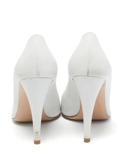 Pre-owned Gianvito Rossi  110mm Pointed-toe Pumps