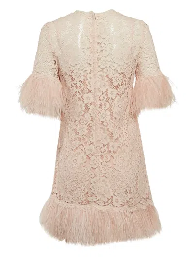 Pre-owned Dolce & Gabbana Feather-trim Mini Dress