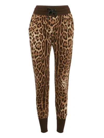 Pre-owned Dolce & Gabbana Leopard-print Leggings