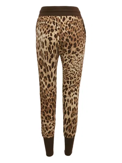 Pre-owned Dolce & Gabbana Leopard-print Leggings