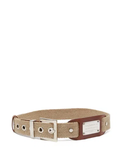 Pre-owned Dolce & Gabbana Logo-plaque Canvas Belt In Neutral