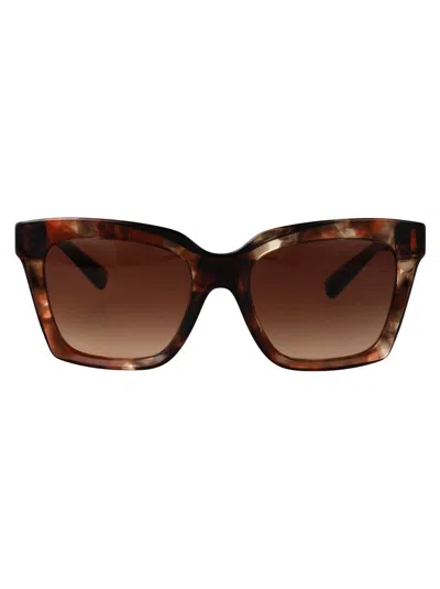 Dolce & Gabbana Sunglasses In Brown