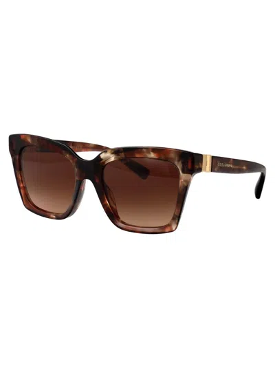 Dolce & Gabbana Sunglasses In Brown