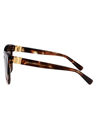 Dolce & Gabbana Sunglasses In Brown