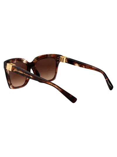Dolce & Gabbana Sunglasses In Brown