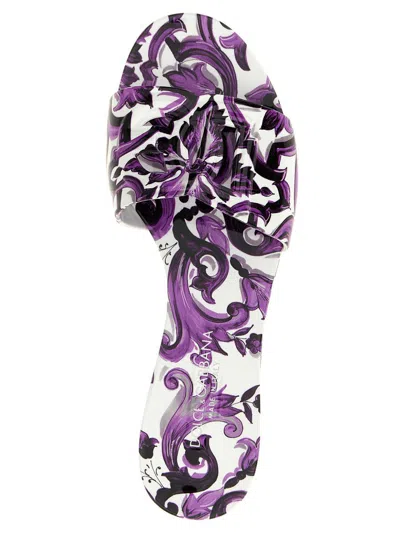 Dolce & Gabbana Maiolica Cut-out Dg Rubber Sandals In Purple