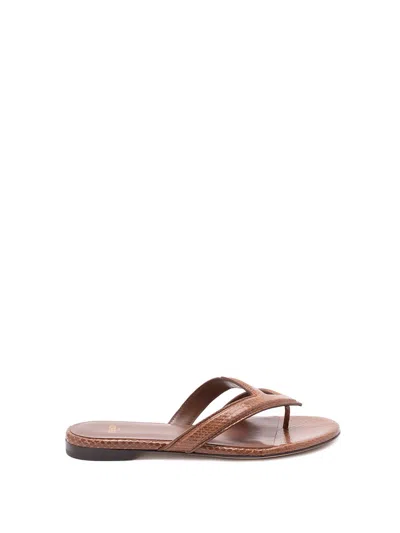 Fendi Women Infradito Ayers Sandals In Multi