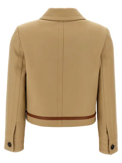 Gucci Cotton Trench With Adjustable Side Tabs In Brown