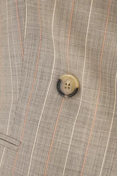 Pt Torino Embroidered Stretch Wool Blazer In Neutral