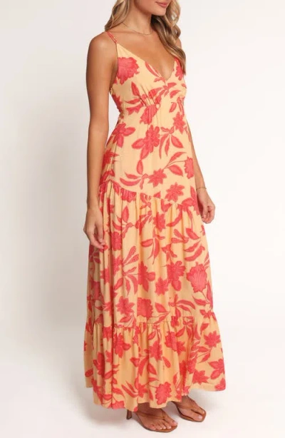 Petal And Pup Petal & Pup Forbes Print Maxi Dress In Multi