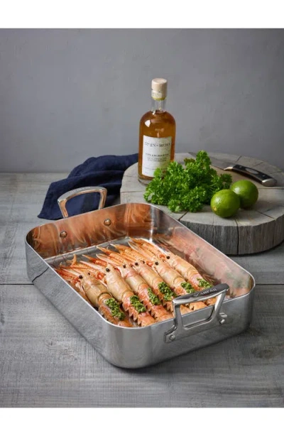 Scanpan Fusion 5 Roaster Pan In Silver