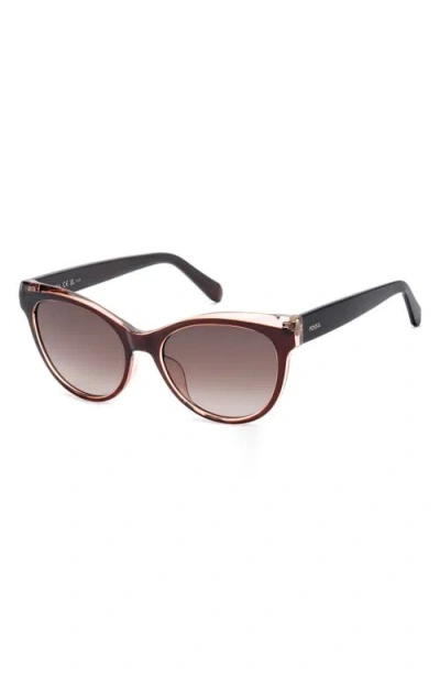 Fossil 53mm Gradient Cat Eye Sunglasses In Brown