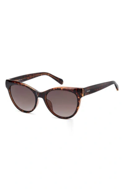 Fossil 53mm Gradient Cat Eye Sunglasses In Brown