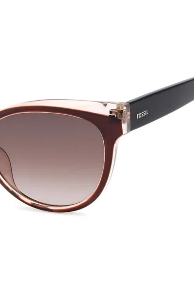 Fossil 53mm Gradient Cat Eye Sunglasses In Brown