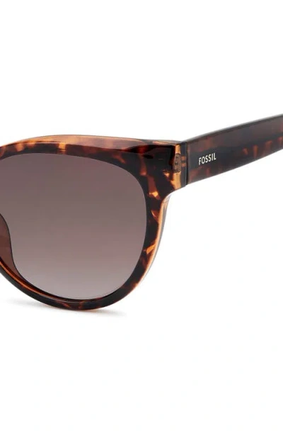 Fossil 53mm Gradient Cat Eye Sunglasses In Brown