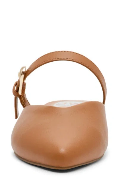 Dolce Vita Dv By  Domainica Mule In Brown