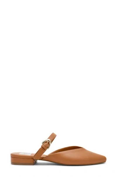 Dolce Vita Dv By  Domainica Mule In Brown