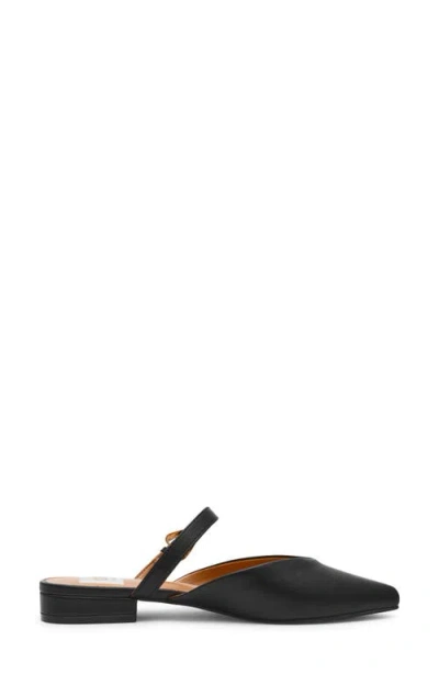 Dolce Vita Dv By  Domainica Mule In Black