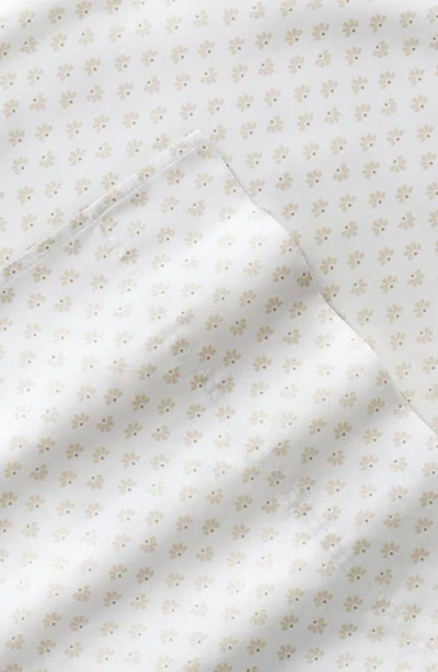 Homespun 300 Thread Count Cotton Sateen Sheet Set