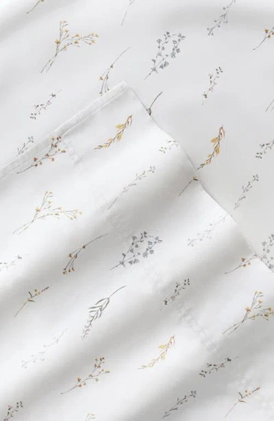 Homespun 300 Thread Count Cotton Sateen Sheet Set