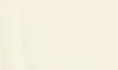 Renee C Scoop Neck Knit Top In Neutral