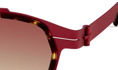 Modo Browline Sunglasses In Metallic