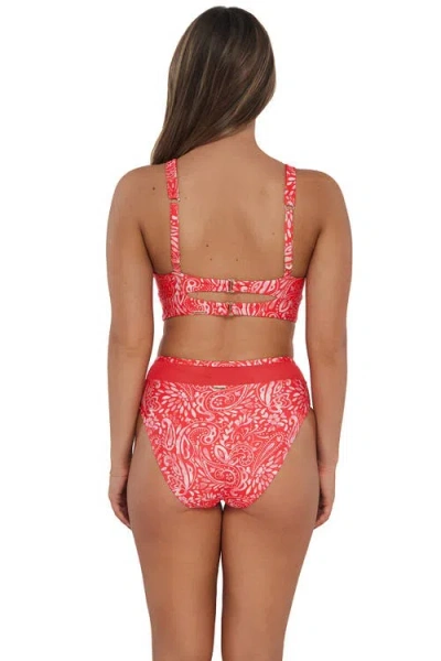 Sunsets Danica Bikini Swimsuit Top In Pink