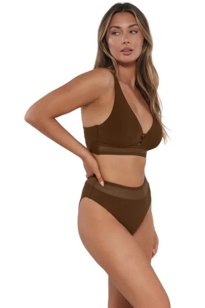 Sunsets Danica Bikini Swimsuit Top In Brown