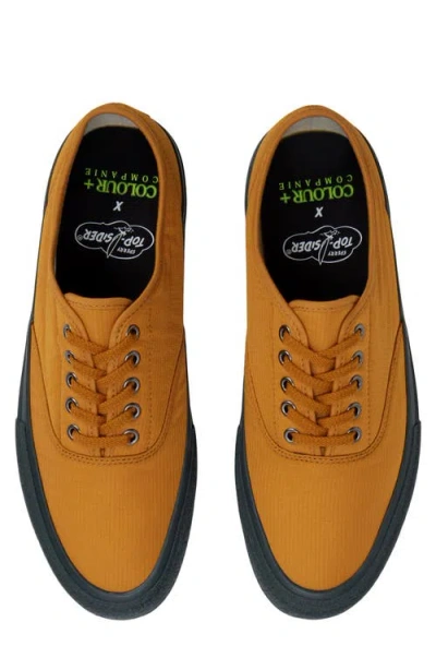 Sperry X Colour Plus Companie Cvo Sneaker In Brown