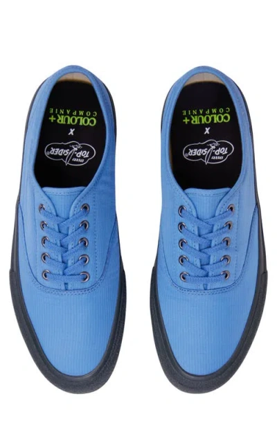Sperry X Colour Plus Companie Cvo Sneaker In Blue