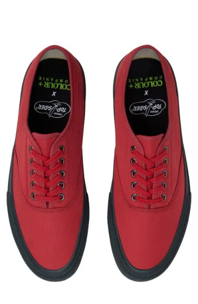 Sperry X Colour Plus Companie Cvo Sneaker In Burgundy