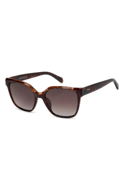 Fossil 55mm Gradient Cat Eye Sunglasses In Brown