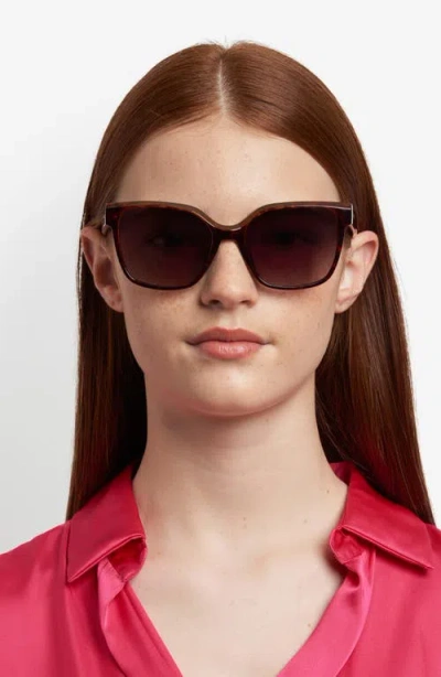 Fossil 55mm Gradient Cat Eye Sunglasses In Brown