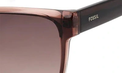 Fossil 55mm Gradient Cat Eye Sunglasses In Brown