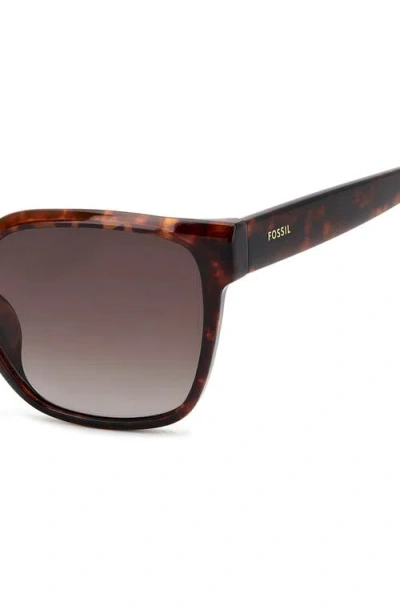 Fossil 55mm Gradient Cat Eye Sunglasses In Brown