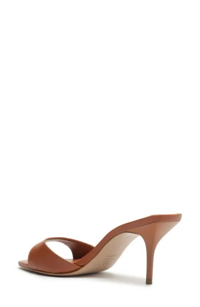 Schutz Elodie Pointed Toe Sandal In Brown