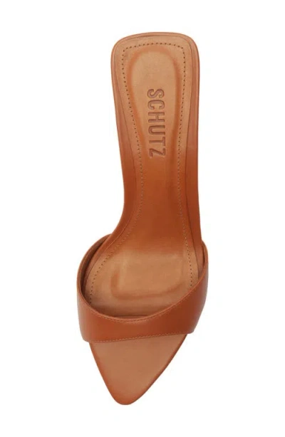 Schutz Elodie Pointed Toe Sandal In Brown