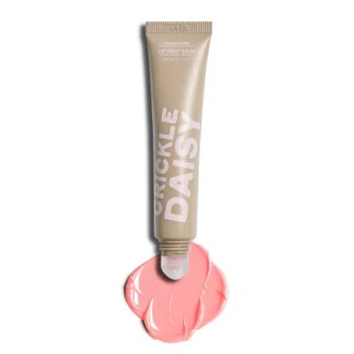 Crickle Daisy Triple Lip Treat Trio Coconut Cake Balm And Mask Set
