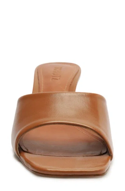 Schutz Dethalia Kitten Heel Slide Sandal In Multi