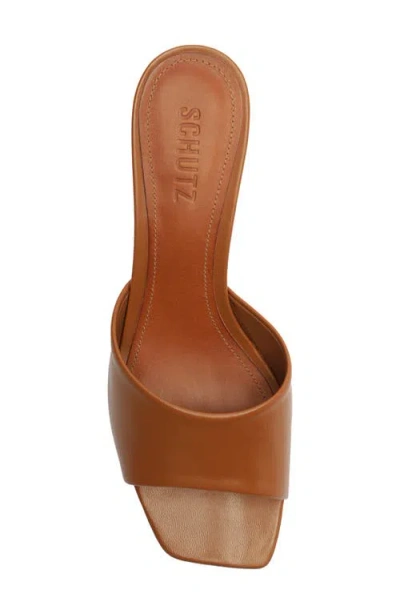 Schutz Dethalia Kitten Heel Slide Sandal In Multi