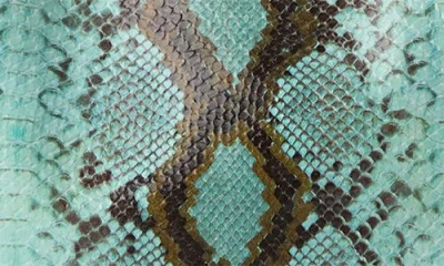 Brahmin Iona Snake Embossed Leather Tote Bag