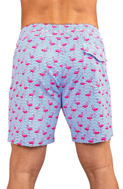 Maceoo Swim Lion Flamingo Swim Trunks In Blue
