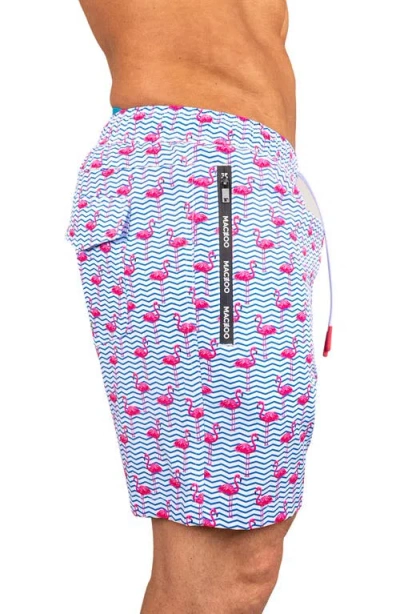 Maceoo Swim Lion Flamingo Swim Trunks In Blue