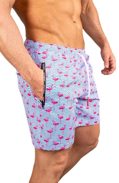 Maceoo Swim Lion Flamingo Swim Trunks In Blue